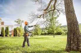 Best Hazardous Tree Removal  in , AL